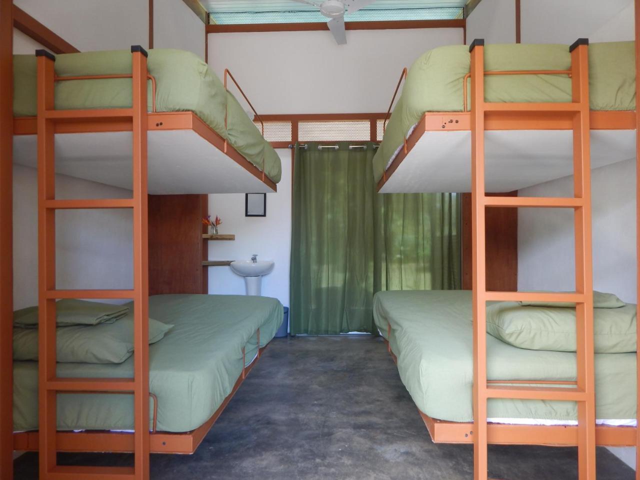 Bed in 4-Bed Mixed Dormitory Room